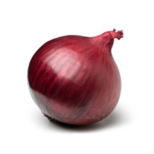 Onion